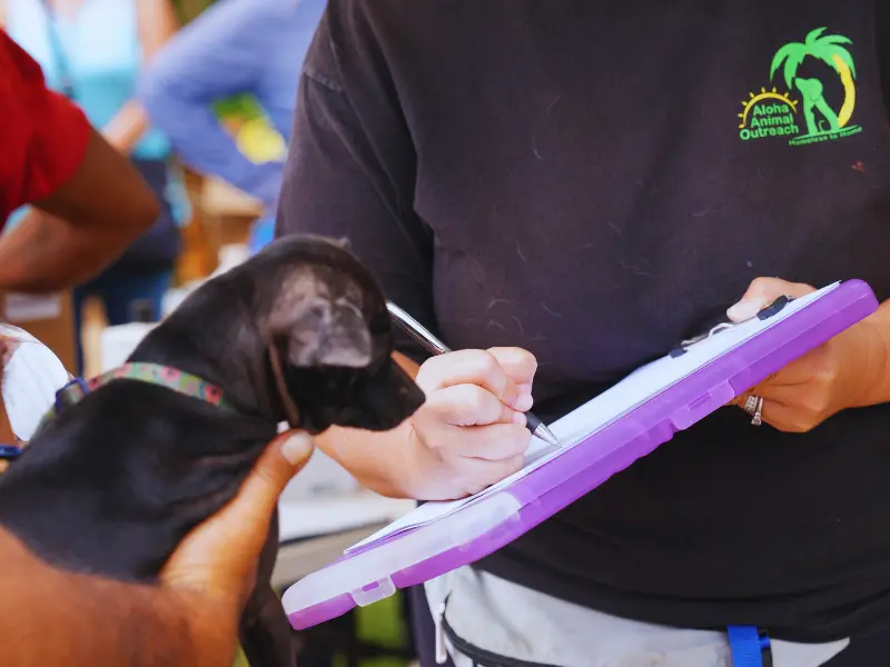 Mobile Spay & Neuter